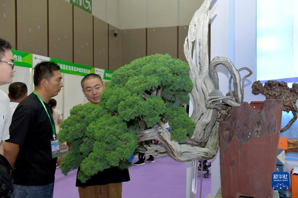 诚博国际客户端下载